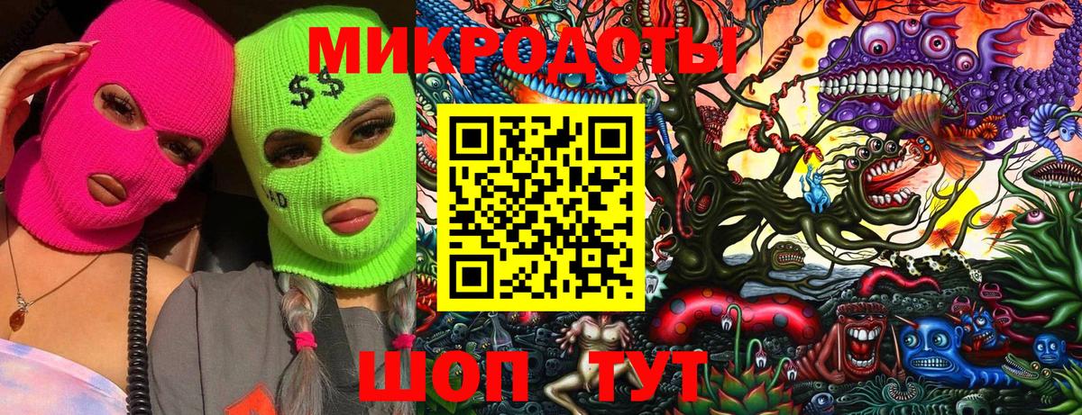 Галлюциногенные грибы Psilocybe  Псилоцибиновые грибы прущие грибы  Гай  Вход с VPN 